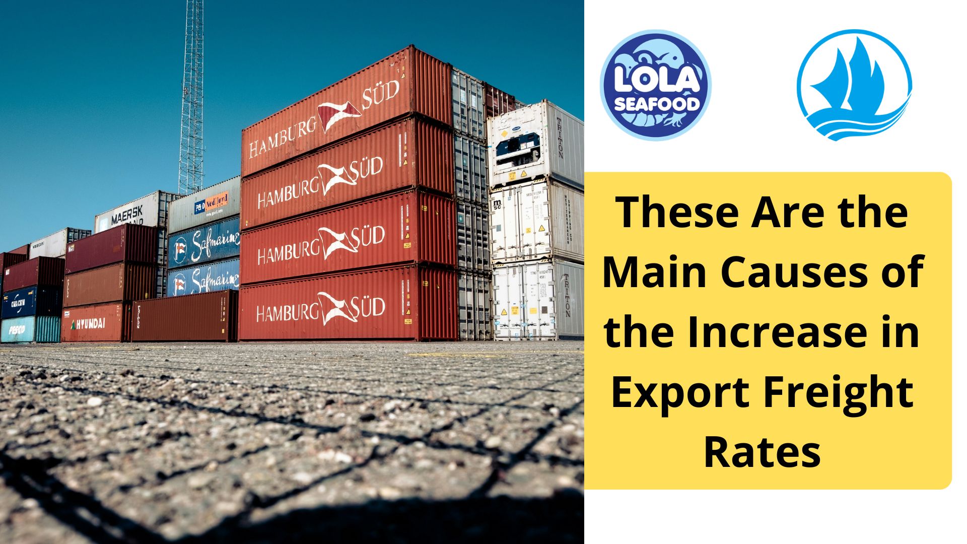  These Are the Main Causes of the Increase in Export Freight Rates